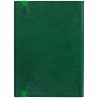 картинка Ежедневник Vivian, недатированный, зеленый от магазина Одежда+