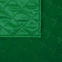 картинка Плед-сумка для пикника Interflow, зеленая от магазина Одежда+