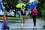 картинка Зонт складной Basic, зеленое яблоко от магазина Одежда+