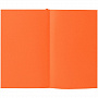 картинка Ежедневник Flat Mini, недатированный, оранжевый от магазина Одежда+