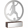 картинка Награда Acme, футбол от магазина Одежда+