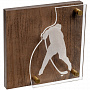 картинка Награда Celebration, хоккей от магазина Одежда+