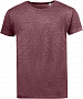 картинка Футболка мужская Mixed Men бордовый меланж от магазина Одежда+