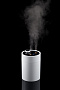 картинка Переносной увлажнитель-ароматизатор humidiFine, белый от магазина Одежда+