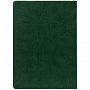 картинка Ежедневник New Latte, недатированный, зеленый от магазина Одежда+
