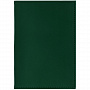 картинка Обложка для паспорта Shall, зеленая от магазина Одежда+
