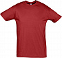 картинка Футболка Regent 150, вишнево-красная от магазина Одежда+