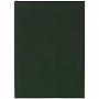 картинка Ежедневник Flat, недатированный, зеленый от магазина Одежда+