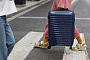 картинка Чемодан Lightweight Luggage M, синий от магазина Одежда+
