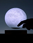 картинка Левитирующая луна MoonFlight от магазина Одежда+
