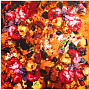 картинка Платок Fleur от магазина Одежда+