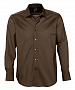 картинка Рубашка мужская с длинным рукавом Brighton, темно-коричневая от магазина Одежда+