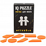 картинка Головоломка IQ Puzzle, близнецы от магазина Одежда+