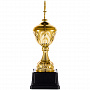 картинка Кубок Top Star, золотистый от магазина Одежда+