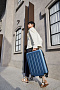 картинка Чемодан Danube Luggage, синий от магазина Одежда+