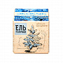картинка Набор для выращивания «Экокуб», ель голубая от магазина Одежда+