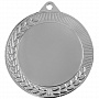 картинка Медаль Regalia, большая, серебристая от магазина Одежда+