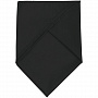 картинка Шейный платок Bandana, черный от магазина Одежда+