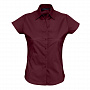 картинка Рубашка женская с коротким рукавом Excess, бордовая от магазина Одежда+