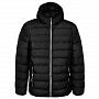 картинка Куртка пуховая мужская Tarner Comfort, черная от магазина Одежда+