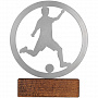 картинка Награда Acme, футбол от магазина Одежда+